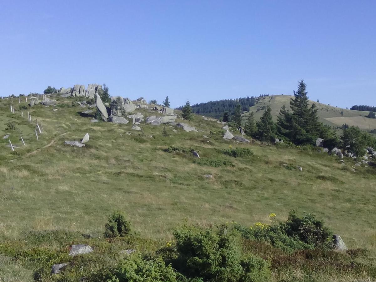 Luttenbach-près-Munster Le Gite Du Leymel المظهر الخارجي الصورة